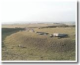 Arbor Low