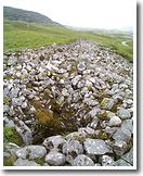 Coillie na Boirge