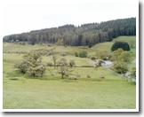 Girdle Stanes