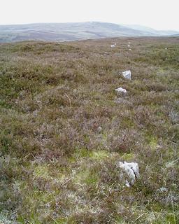 Learable Hill