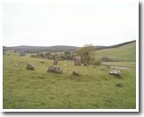 Loupin' Stanes