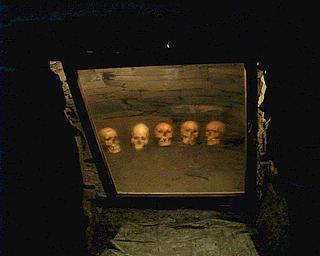 Skulls